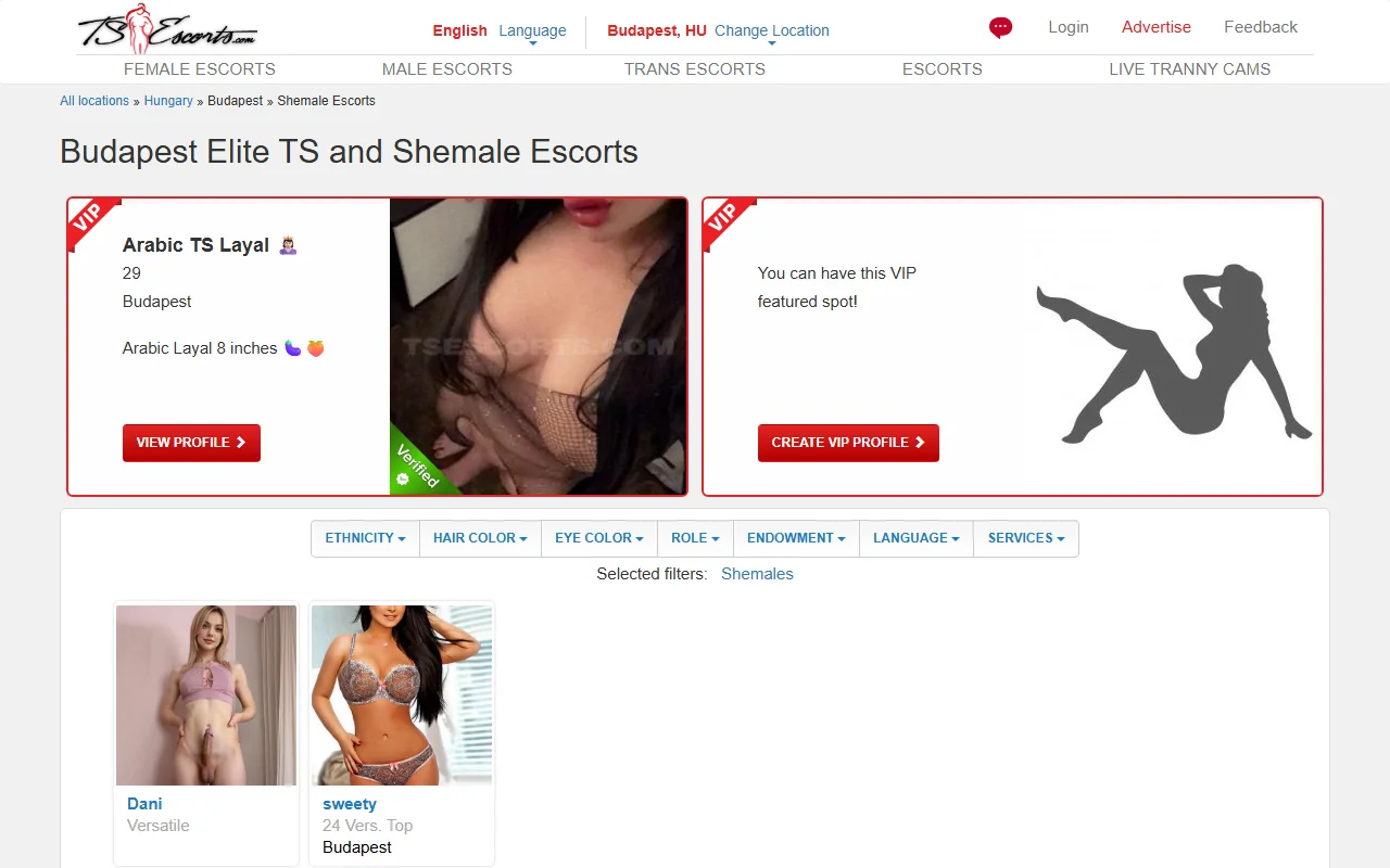 Screenshot of Tsescorts